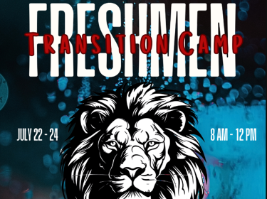black & white male lion's head, blue & red background